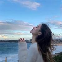 流星加速器VPNVPN用户LISA,很满意流星加速器VPNVPN
